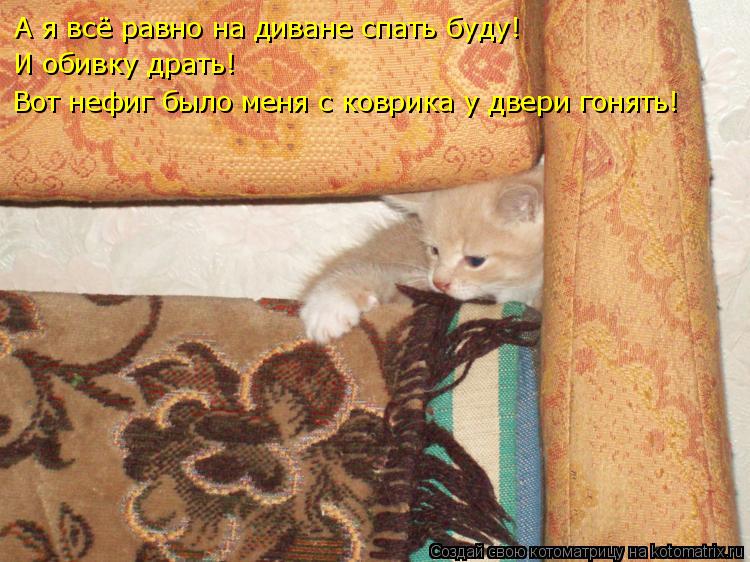 А я всё равно на диване спать буду! И обивку драть! Вот нефиг было меня с коврика у двери гонять!... Котоматрица: А я всё равно на диване спать буду! И обивку драть! Вот нефиг было меня с коврика у двери гонять!