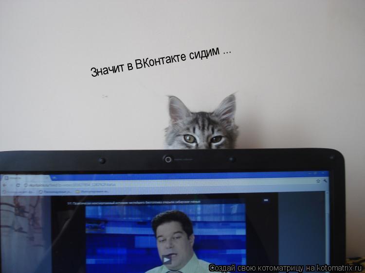 Значит в ВКонтакте сидим ...... Котоматрица: Значит в ВКонтакте сидим ...