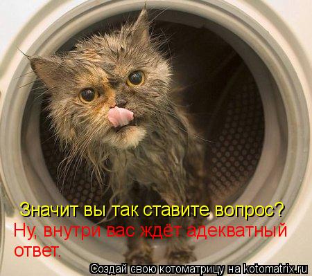 Значит вы так ставите вопрос? Ну, внутри вас ждёт адекватный ответ.... Котоматрица: Значит вы так ставите вопрос? Ну, внутри вас ждёт адекватный ответ.