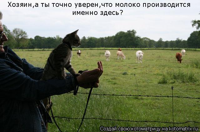 Хозяин,а ты точно уверен,что молоко производится именно здесь?... Котоматрица: Хозяин,а ты точно уверен,что молоко производится именно здесь?