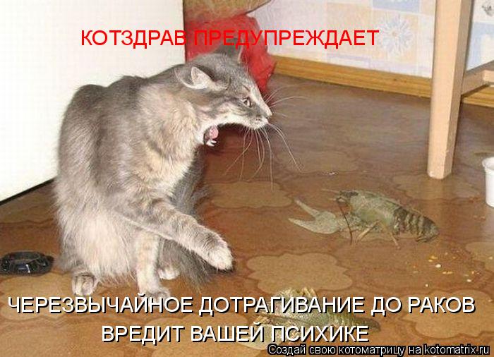 ЧЕРЕЗВЫЧАЙНОЕ ДОТРАГИВАНИЕ ДО РАКОВ ВРЕДИТ ВАШЕЙ ПСИХИКЕ КОТЗДРАВ ПРЕДУПРЕЖДАЕТ... Котоматрица: ЧЕРЕЗВЫЧАЙНОЕ ДОТРАГИВАНИЕ ДО РАКОВ ВРЕДИТ ВАШЕЙ ПСИХИКЕ КОТЗДРАВ ПРЕДУПРЕЖДАЕТ