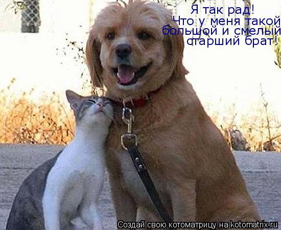 Что у меня такой большой и смелый старший брат! Я так рад!... Котоматрица: Что у меня такой большой и смелый старший брат! Я так рад!