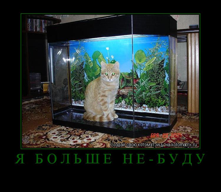 я больше не-буду ... Котоматрица: я больше не-буду