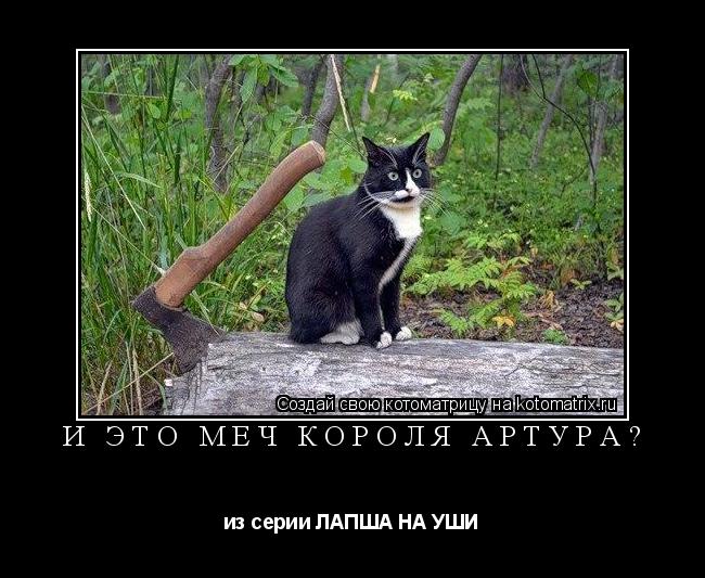 Котоматрица: и это меч короля Артура? из серии ЛАПША НА УШИ