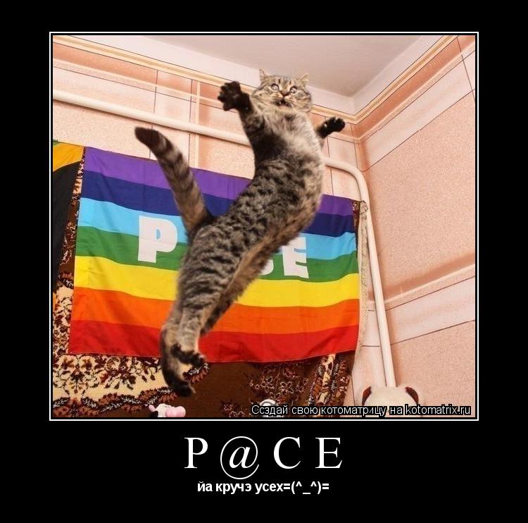 P@CE йа кручэ усех=(^_^)=... Котоматрица: P@CE йа кручэ усех=(^_^)=