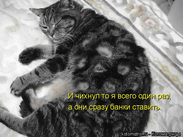И чихнул то я всего один раз, а они сразу банки ставить.... Котоматрица: И чихнул то я всего один раз, а они сразу банки ставить.