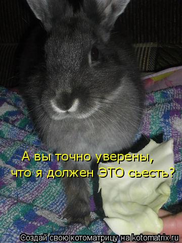 А вы точно уверены, что я должен ЭТО сьесть?... Котоматрица: А вы точно уверены, что я должен ЭТО сьесть?