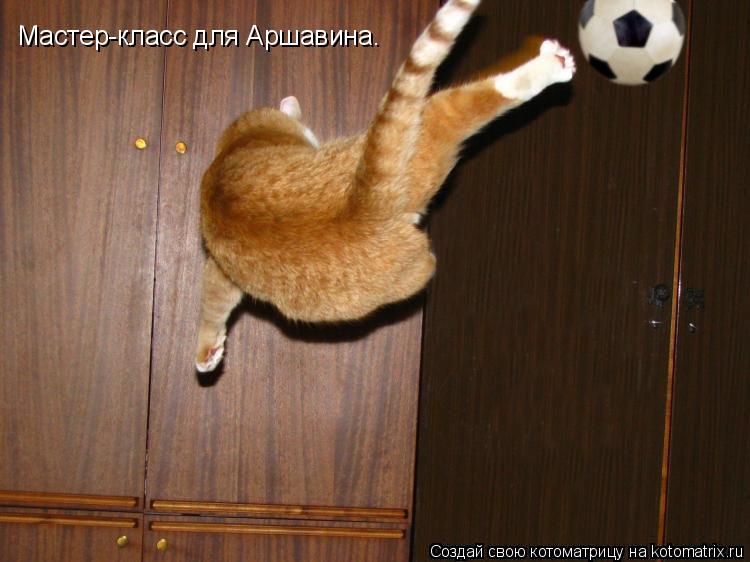 Мастер-класс для Аршавина.... Котоматрица: Мастер-класс для Аршавина.
