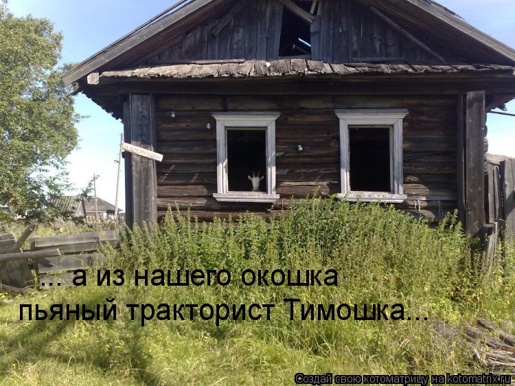 ... а из нашего окошка пьяный тракторист Тимошка...... Котоматрица: ... а из нашего окошка пьяный тракторист Тимошка...