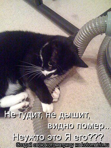 Котоматрица: Не гудит, не дышит,  видно помер... Неужто это Я его??? Неужто это Я его???