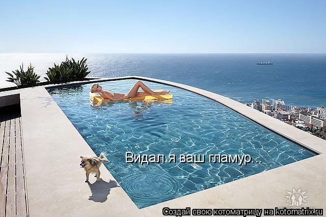 Видал я ваш гламур...... Котоматрица: Видал я ваш гламур...