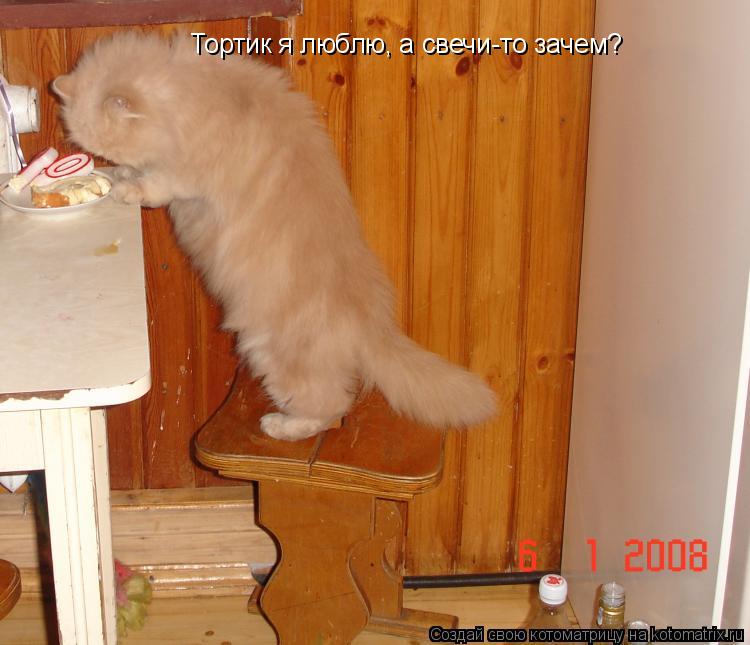 Тортик я люблю, а свечи-то зачем?... Котоматрица: Тортик я люблю, а свечи-то зачем?