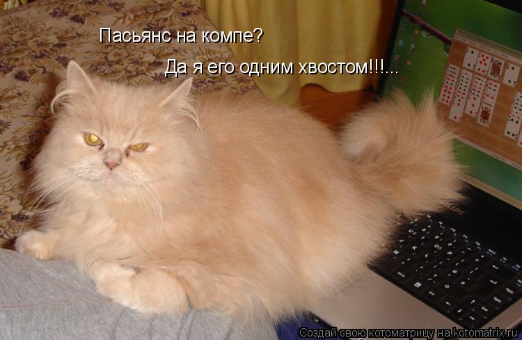 Пасьянс на компе? Да я его одним хвостом!!!...... Котоматрица: Пасьянс на компе? Да я его одним хвостом!!!...