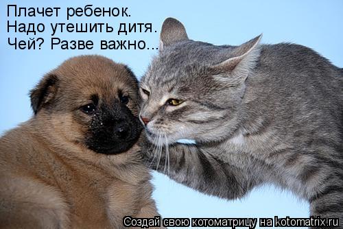 Плачет ребенок. Надо утешить дитя. Чей? Разве важно...... Котоматрица: Плачет ребенок. Надо утешить дитя. Чей? Разве важно...