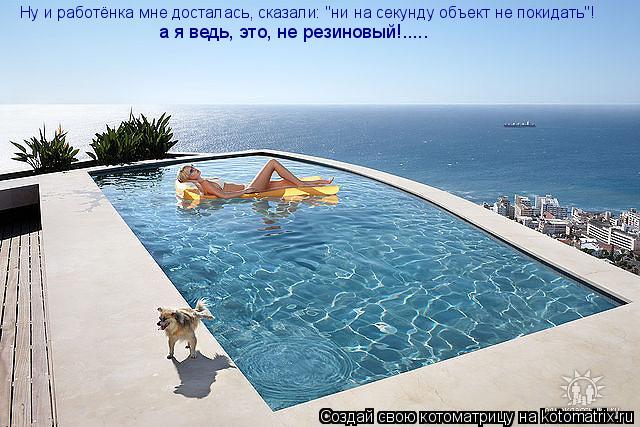 Котоматрица: Ну и работёнка мне досталась, сказали: "ни на секунду объект не покидать"! а я ведь, это, не резиновый!.....