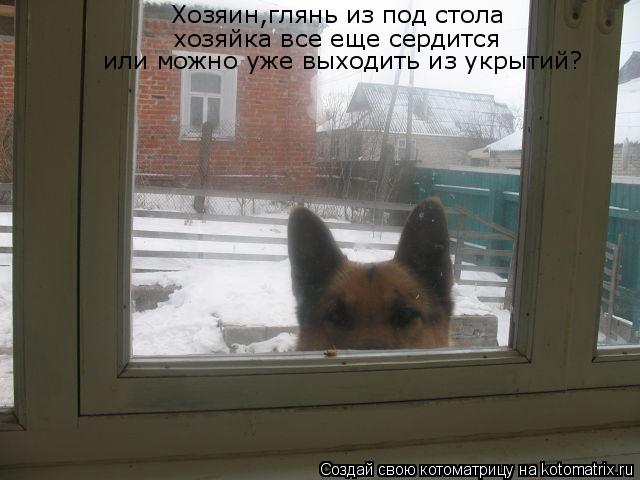 Котоматрица: Хозяин,глянь из под стола хозяйка все еще сердится или можно уже выходить из укрытий?