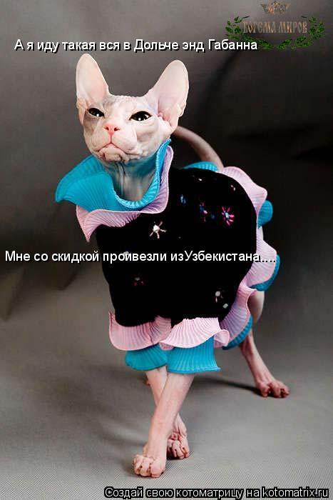 Котоматрица: А я иду такая вся в Дольче энд Габанна Мне со скидкой проивезли изУзбекистана....