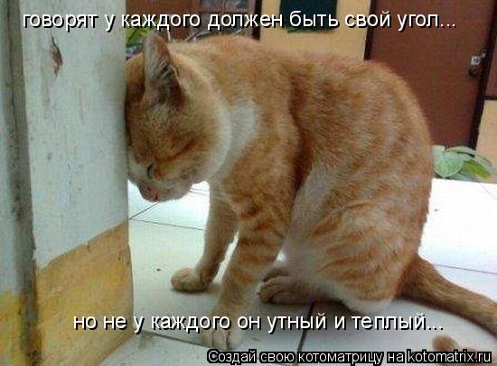Котоматрица: говорят у каждого должен быть свой угол... но не у каждого он утный и теплый...