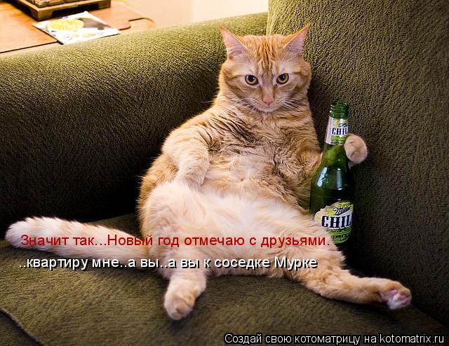 Котоматрица: Значит так...Новый год отмечаю с друзьями. ..квартиру мне..а вы..а вы к соседке Мурке
