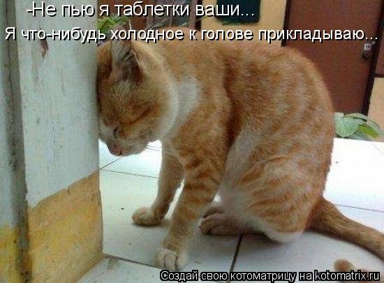 Котоматрица: -Не пью я таблетки ваши...  Я что-нибудь холодное к голове прикладываю...