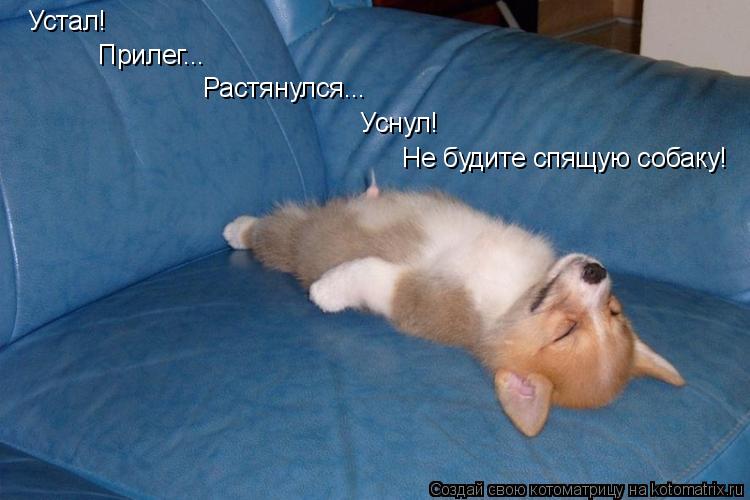 Котоматрица: Устал! Прилег... Растянулся... Уснул! Не будите спящую собаку!