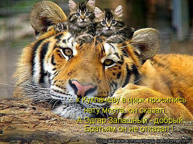Котоматрица: -  к Куклачеву в цирк просились  нету места, он сказал... А Эдгар Запашный - добрый,  Братьям он не отказал !