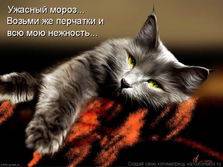 Ужасный мороз... Возьми же перчатки и всю мою нежность...... Котоматрица: Ужасный мороз... Возьми же перчатки и всю мою нежность...