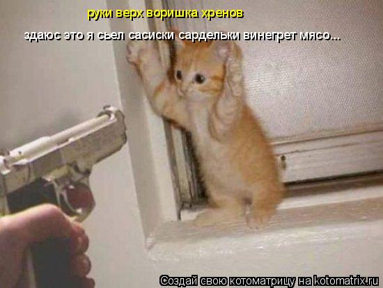 Котоматрица: здаюс это я сьел сасиски сардельки винегрет мясо... руки верх воришка хренов