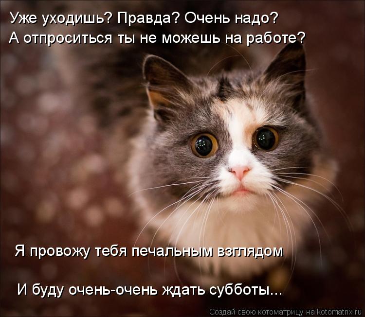 Котоматрица: Уже уходишь? Правда? Очень надо?  Я провожу тебя печальным взглядом  А отпроситься ты не можешь на работе? И буду очень-очень ждать субботы...