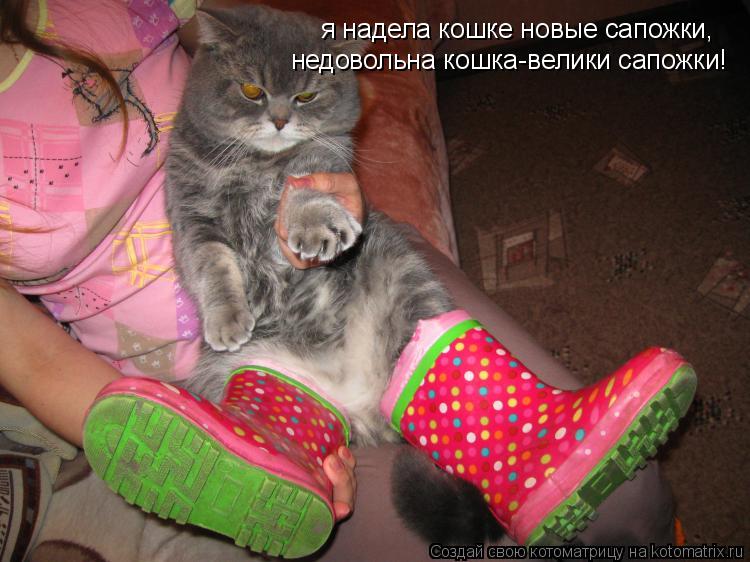Котоматрица: я надела кошке новые сапожки, недовольна кошка-велики сапожки!