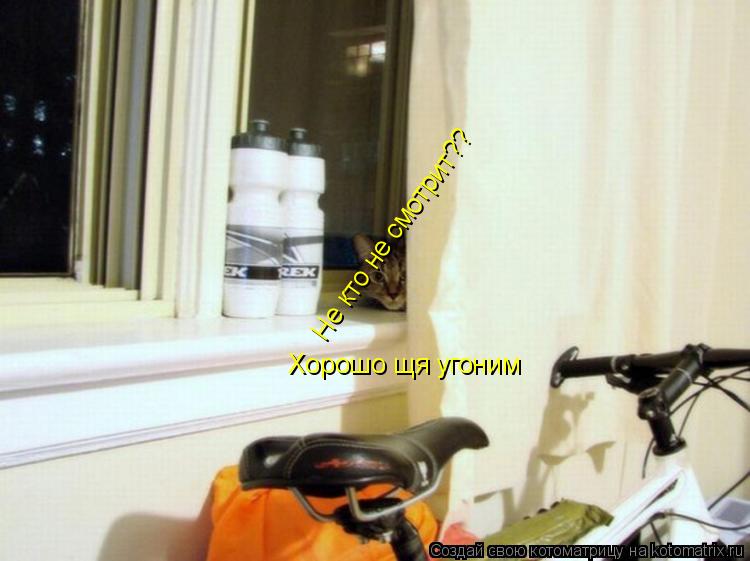 Не кто не смотрит?? Хорошо щя угоним... Котоматрица: Не кто не смотрит?? Хорошо щя угоним