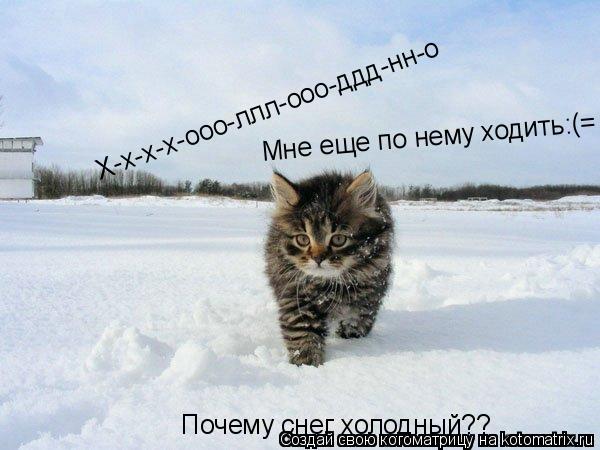 Х-х-х-х-ооо-ллл-ооо-ддд-нн-о Почему снег холодный?? Мне еще по нему ходить:(=... Котоматрица: Х-х-х-х-ооо-ллл-ооо-ддд-нн-о Почему снег холодный?? Мне еще по нему ходить:(=