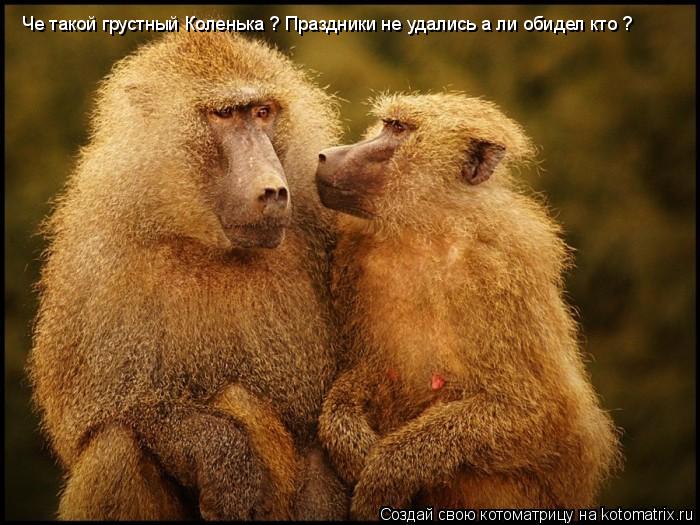 Че такой грустный Коленька ? Праздники не удались а ли обидел кто ?... Котоматрица: Че такой грустный Коленька ? Праздники не удались а ли обидел кто ?