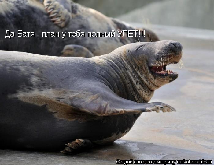Да Батя , план у тебя полный УЛЕТ!!!... Котоматрица: Да Батя , план у тебя полный УЛЕТ!!!