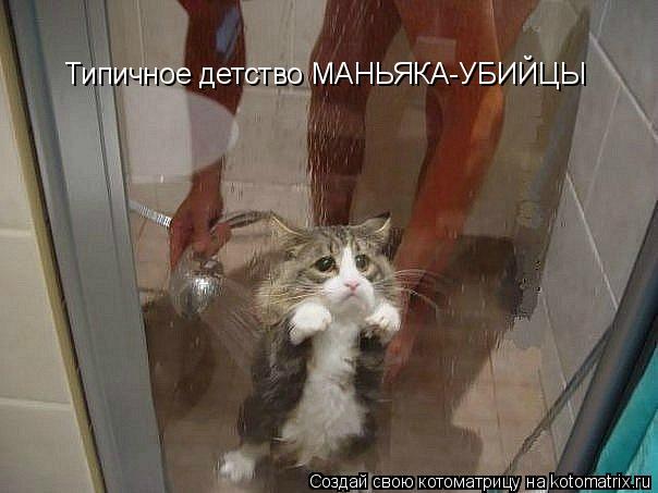 Типичное детство МАНЬЯКА-УБИЙЦЫ... Котоматрица: Типичное детство МАНЬЯКА-УБИЙЦЫ