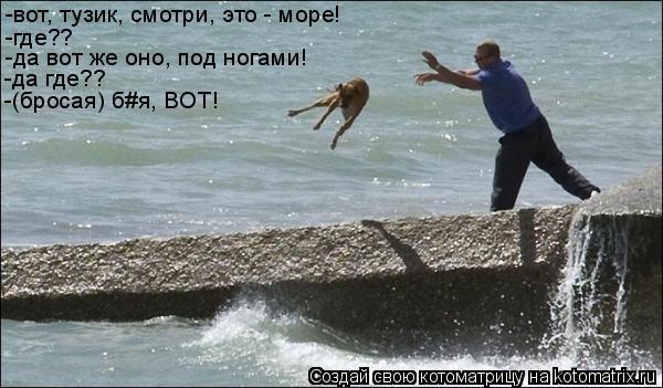 -вот, тузик, смотри, это - море! -где?? -да вот же оно, под ногами! -да где?? -(бросая) б#я, ВОТ!... Котоматрица: -вот, тузик, смотри, это - море! -где?? -да вот же оно, под ногами! -да где?? -(бросая) б#я, ВОТ!