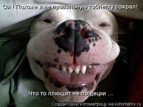 Ой ! Похоже я не правильную таблетку сожрал! Что то плющит не по децки ...... Котоматрица: Ой ! Похоже я не правильную таблетку сожрал! Что то плющит не по децки ...