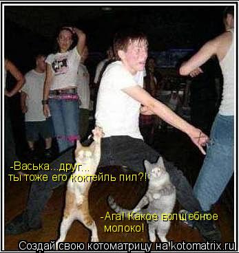 -Васька...друг... ты тоже его коктейль пил?! -Ага! Какое волшебное молоко!... Котоматрица: -Васька...друг... ты тоже его коктейль пил?! -Ага! Какое волшебное молоко!