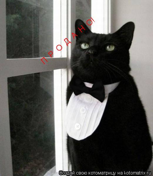 П Р О Д А Н О!... Котоматрица: П Р О Д А Н О!