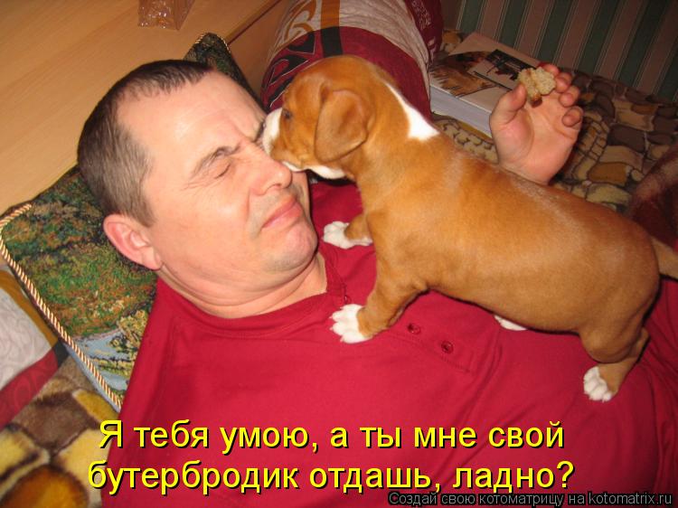 Я тебя умою, а ты мне свой бутербродик отдашь, ладно?... Котоматрица: Я тебя умою, а ты мне свой бутербродик отдашь, ладно?