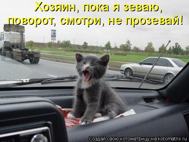 Хозяин, пока я зеваю, поворот, смотри, не прозевай!... Котоматрица: Хозяин, пока я зеваю, поворот, смотри, не прозевай!