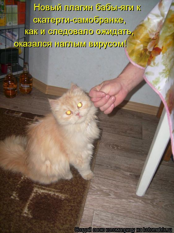 Новый плагин бабы-яги к скатерти-самобранке, как и следовало ожидать, оказался наглым вирусом!... Котоматрица: Новый плагин бабы-яги к скатерти-самобранке, как и следовало ожидать, оказался наглым вирусом!