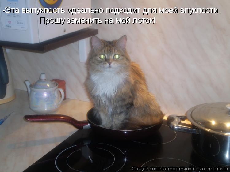 -Эта выпуклость идеально подходит для моей впуклости. Прошу заменить на мой лоток!... Котоматрица: -Эта выпуклость идеально подходит для моей впуклости. Прошу заменить на мой лоток!