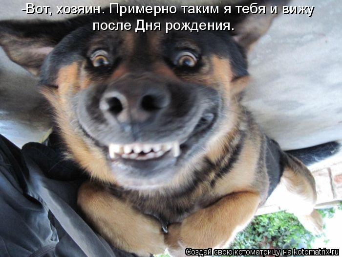 -Вот, хозяин. Примерно таким я тебя и вижу после Дня рождения.... Котоматрица: -Вот, хозяин. Примерно таким я тебя и вижу после Дня рождения.
