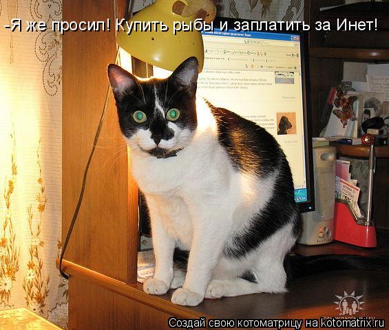 -Я же просил! Купить рыбы и заплатить за Инет!... Котоматрица: -Я же просил! Купить рыбы и заплатить за Инет!