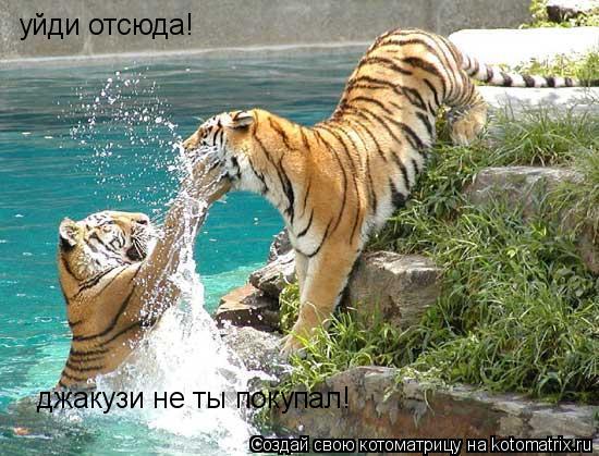 уйди отсюда! джакузи не ты покупал!... Котоматрица: уйди отсюда! джакузи не ты покупал!
