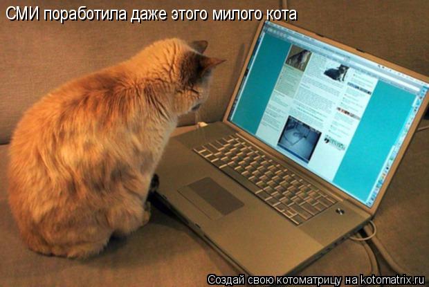 СМИ поработила даже этого милого кота... Котоматрица: СМИ поработила даже этого милого кота