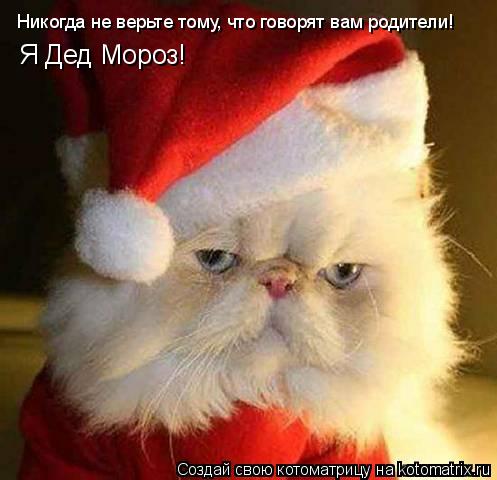 Никогда не верьте тому, что говорят вам родители! Я Дед Мороз!... Котоматрица: Никогда не верьте тому, что говорят вам родители! Я Дед Мороз!