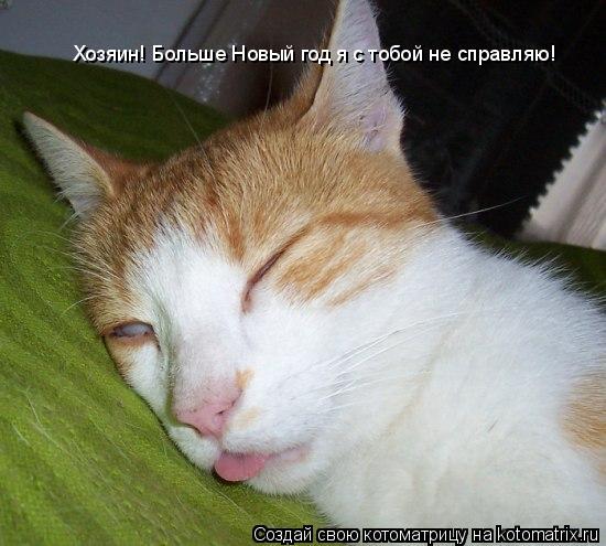 Хозяин! Больше Новый год я с тобой не справляю!... Котоматрица: Хозяин! Больше Новый год я с тобой не справляю!