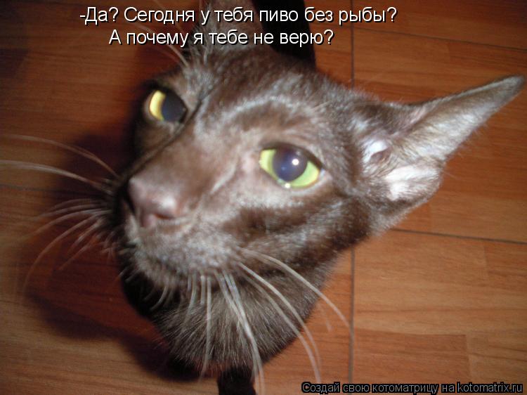 -Да? Сегодня у тебя пиво без рыбы? А почему я тебе не верю?... Котоматрица: -Да? Сегодня у тебя пиво без рыбы? А почему я тебе не верю?